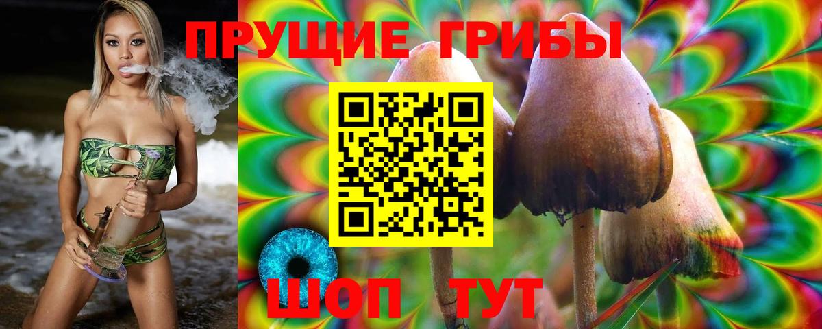 дарнет шоп  Галлюциногенные грибы мухоморы  Вход с VPN  Дзержинский  Псилоцибиновые грибы прущие грибы 
